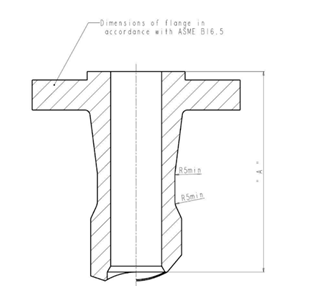 niploflange custom fittings